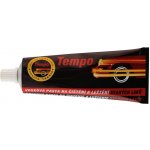 Druchema Tempo pasta 120g – Zboží Mobilmania