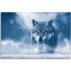 Obraz Malvis Obraz vlk v zimě 150x100 cm