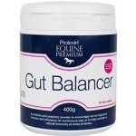 Protexin Equine Premium Gut Balancer 0,4 kg – Hledejceny.cz