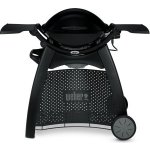 Weber Q 3200 – Zbozi.Blesk.cz