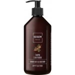 Kesem Dead Sea šampon s rakytníkem 500 ml – Hledejceny.cz