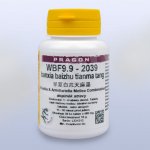 Pragon WBF9.9-2039 banxia baizhu tianma tang 36 tablet – Hledejceny.cz