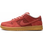 Nike SB Dunk Low Adobe DV5429-600