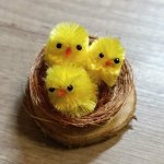 Kuřátka v hnízdě – Hledejceny.cz