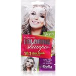 Delia Cameleo No1 barevný šampon 10.1 stříbrný 40 ml – Hledejceny.cz