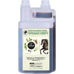 Sirup na kašel Leros Pulmoran Horse 1 l – Hledejceny.cz