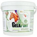 Gelapony VitaMin 5,4 kg – Zboží Mobilmania