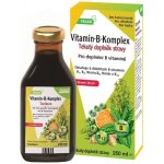 Salus Vitamin B komplex Pro psychickou rovnováhu 250 ml – Hledejceny.cz