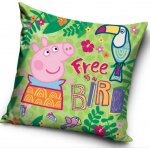 Carbotex Prasátko Peppa 40 x 40 cm – Sleviste.cz