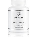 Wetyzo Liver Protect+ činnost jater a trávení 60 kapslí – Hledejceny.cz