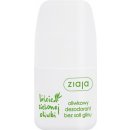 Ziaja Olivové listy dámský deodorant roll-on 60 ml