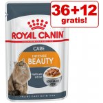 Royal Canin Sterilised v želé 48 x 85 g – Hledejceny.cz