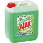Ajax univerzální saponát zelený 5 l – Zboží Dáma