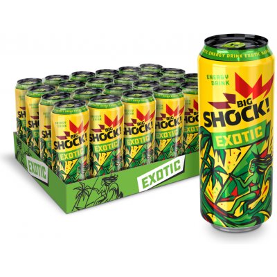 Big Shock Exotic plech 24 x 500 ml – Sleviste.cz