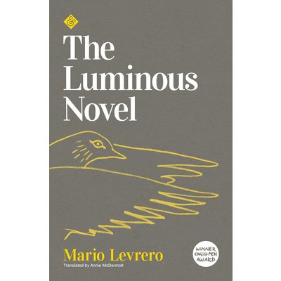 The Luminous Novel Levrero MarioPaperback
