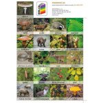 Sada pexesa Já a můj svět 2 – Hledejceny.cz