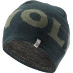 Devold Vlněná čepice Logo merino beanie woods zelená – Hledejceny.cz