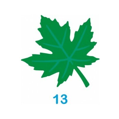 Wiler děrovačka ozdobná Javorový list 3.2cm reliéfní – Zboží Mobilmania