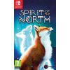 Hra na Nintendo Switch Spirit of the North