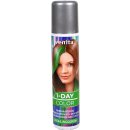 1-day Color barevný spray na vlasy zelená 50 ml