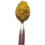 Kostera Kurkuma mletá 100 g – Zboží Dáma