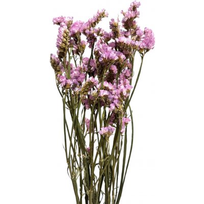 Statice sušená růžovofialová 75cm svazek/kytice 50g – Zboží Mobilmania