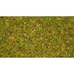 Noch Statická tráva květinová louka 2,5 mm 20 g 08330 – Zboží Mobilmania