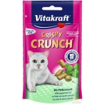 Vitakraft Pamlsek Crispy Crunch dental 60 g – Hledejceny.cz