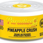 Paradise Air Organic Air Freshener Ananas 42 g – Hledejceny.cz