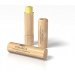 Regina pomáda s měsíčkem zahradním 4,5 g – Zboží Dáma