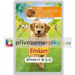 Purina Friskies Junior s kuřetem a mrkví ve šťávě 100 g – Zbozi.Blesk.cz