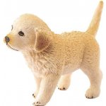 Schleich 16396 Zlatý retrívr štěně – Zbozi.Blesk.cz