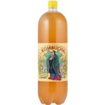 Stevikom Kombucha heřmánek 2 l – Zboží Dáma