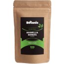 Botanic Boswellia serrata Prášek z pryskyřice 100 g