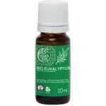 Tierra Verde Silice Eukalyptus BIO 30 ml – Zboží Mobilmania