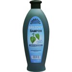 Herbavera šampon březový 550 ml – Sleviste.cz