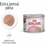 Royal Canin Babycat Instinctive 195 g – Hledejceny.cz