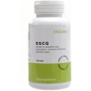 Doplněk stravy Epigemic EGCG extrakt ze zeleného čaje 100 kapslí