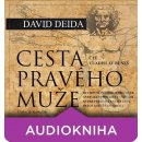 Audiokniha Cesta pravého muže - David Deida, Vladislav Beneš