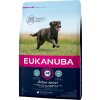 Granule pro psy Eukanuba Adult Large Breed 3 kg