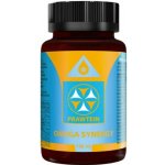 Bewit Prawtein Omega Synergy 100 ml – Hledejceny.cz