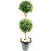 Květina BUXUS DVOJITÁ KOULE NEW, 170cm