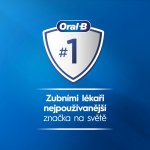 Oral-B iO Series 3 Duo Black/Blue – Zboží Živě