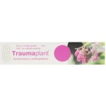 TRAUMAPLANT DRM UNG 100G – Zboží Mobilmania