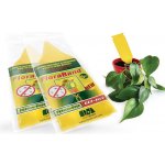 AgroBio PM Lepové šipky žluté FloraBand 5 ks – Sleviste.cz