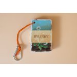 Bylinky - Kapesní atlas | Ivana Mrázková – Sleviste.cz