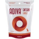 Vitamed Pharma Česko Doplněk pro psy na trávení ADIVA Entero Large Dogs 40 tbl – Hledejceny.cz