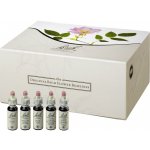 SET BACHOVY ESENCE 38+2 10 ml – Hledejceny.cz