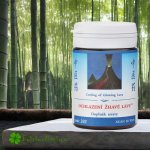 TCM Herbs Ochlazení žhavé lávy 100 tablet – Hledejceny.cz