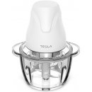 TESLA FC 302W